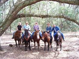 How much is it for horseback riding lessons? Trail Horse Quotes Quotesgram