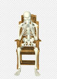 Check spelling or type a new query. Sitting Bone Human Skeleton Chair The Ultimate Thinking Furniture People Thinking Girl Png Pngwing