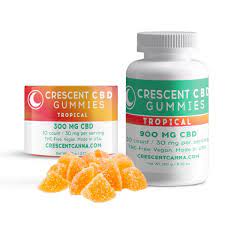 Best CBD oil for focus and concentration