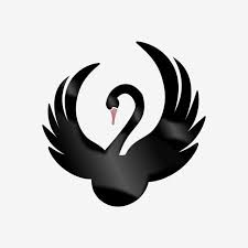 Swan Black Shiny Bird Flapping Wings Elegant Graphic Swan Black Black Swan Png And Vector With Transparent Background For Free Download Swan Wings Overlays Transparent Background Swans Art