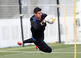 11 мая 1992 | 29 лет. Thibaut Courtois Thibautcourtois Twitter
