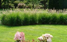 Garden privacy & protective screens. 20 Garden Screening Ideas For Creating A Garden Privacy Screen