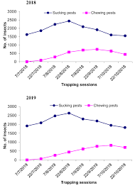Seasonal dynamics of sucking and chewing insects collected from cotton... |  Download Scientific Diagram