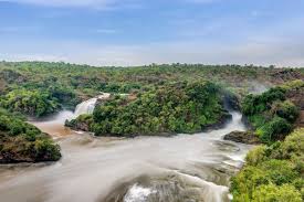 I need to get a restraining order. Der Nationalpark Der Wasserfalle Von Murchison Uganda