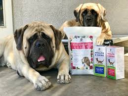 Can homemade dog food be a balanced diet for dogs? My Honest Review Of Dr Harvey S Raw Dog Food For Big Dogs