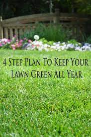 A 4 Step Plan To Keep Your Lawn Green And Healthy Throughout The Year Jpg 400 602 Pixels Lush Lawn Green Lawn Lawn