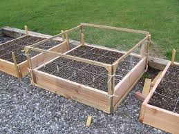 Ultimately it's a personal decision and yours to make. Picasa Web Albums Luke Eelman Chicken Wire Fence Chicken Garden Garden Boxes