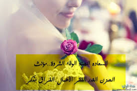 صور كلمات معبرة images and words rose flower image
