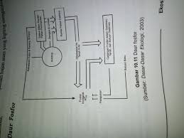 Ketika tanaman mati atau hewan mati atau ketika sebuah pabrik atau limbah mengeluarkan hewan, nitrogen organik kemudian dilepaskan. Gambarlah Skema Daur Fosfor Brainly Co Id