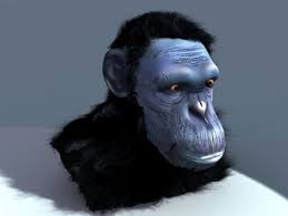 Chimpanzee Head Free 3d Model 3d Model Animal Free Model