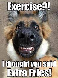 Exercise I Thought You Said Extra Fries Funny Animal Memes Animal Jokes Funny Animal Quotes