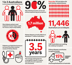 Kidney Disease The Silent Killer Victoria Point Surgeryvictoria Point Surgery