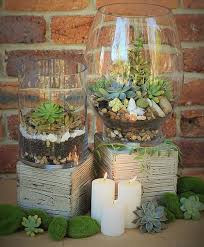 7312daabd7ab070ab5271affa0ca7e8c Terrarium Ideas Glass Succulent Terrarium Jpg 493 595 Pixels Glass Vase Decor Large Vases Decor Large Glass Vase
