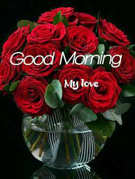 Good morning, may peace, love and joy have their way. Pin By Robin Malook On Good Morning Beautiful Flowers Good Morning Beautiful Flowers Good Morning Flowers Good Morning Beautiful