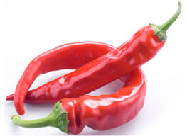 Da quanto tempo l'uomo conosce il peperoncino? Peperoncino Diavolicchio Diamante Vivai Frappetta Roma