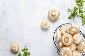 Check spelling or type a new query. Come Conservare I Funghi Porcini E Pulire Gli Champignon