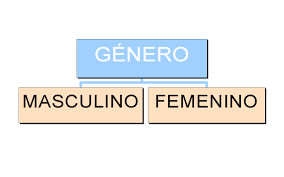 Resultado de imagen de GÉNERO masculino y femenino