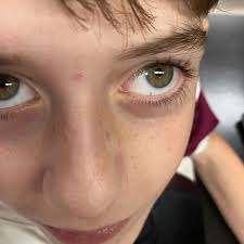 Jasper Stephenson's Instagram, Twitter & Facebook