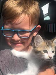 What to do when family wants a dog but you want a cat?