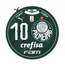 Palmeiras is one of the most popular clubs. Palmeiras Google æœå°‹