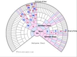 x marks the spot dnaexplained genetic genealogy