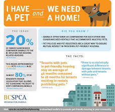 Maybe you would like to learn more about one of these? Renters Are Hiding Pets From Landlords Because They Can T Find Pet Friendly Homes News 1130