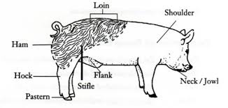 This part of the pig provides some very important products, including spare ribs, bacon and salt pork. Swine Exhibitor S Project Guide 7 8 Years Of Age Nc State Extension Publications