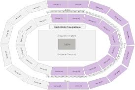 Shemy Scen Vtb Arena Dinamo Moskva Ledovyj Dvorec Sankt Peterburg