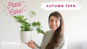 Autumn Fern Care Tips Youtube