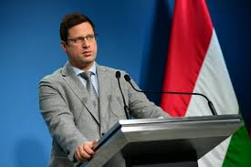 Come on we share some latest information about gergely gulyas about his biography, net worth, career, income, and expenses. Index Belfold Hatosagi Hazi Karantenba Kerult Gulyas Gergely