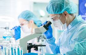 I am biotech is where biotech professionals and enthusiasts can come together and discuss the promise of biotech innovation. The Best Biotech Etfs Justetf