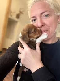 please excuse the messy hair, but I wanted to share my Riley Jake snuggles  this morning. He is the sweetest little boy!! 4 weeks old and growing!!  Message for details.