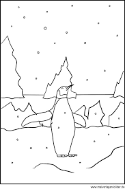 Pinguin Als Gratis Malvorlage Ausmalbild Und Windowcolor Vorlage