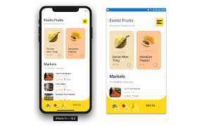 Wait until the nuget packages are restored (a restore completed message will appear in the. Replicating Exotic Fruits App In Xamarin Forms Askxammy