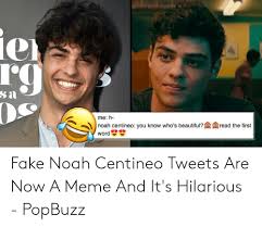 Fans are convinced that noah centineo has split from girlfriend alexis ren. 25 Best Memes About Its A Fake Meme Its A Fake Memes