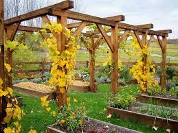 Pin By Linh Ho On Edible Garden Grape Trellis Grape Vine Trellis Arbors Trellis