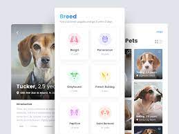 Pet Finder Mobile Application