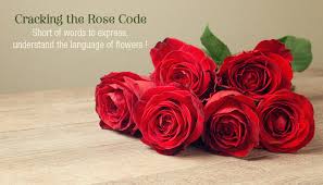 Flowers have a language of their own, and they can tell unbelievable stories while teaching lifelong lessons. Cracking The Rose Code Short Of Words To Express Understand The Language Of Flowers