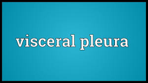 Visceral Pleura Meaning Youtube