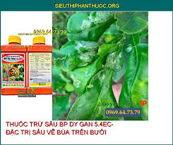 BP Dy Gan 5.4EC.