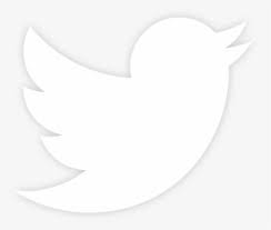 Download the twitter logo, assets, and twitter brand guidelines — and learn how to embed a tweet on your website. 2017 Intertech Americas Corp Twitter Icons Png White Transparent Png Kindpng