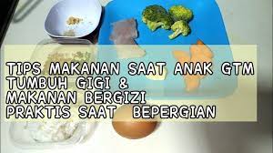 Meskipun isapan, biskuit, dan kerupuk ukuran sekali gigit mungkin lebih mudah ditangani oleh balita anda, mereka sarat dengan tambahan gula dan garam yang tidak dia butuhkan. Tips Makanan Anak Saat Gtm Tumbuh Gigi Bergizi Praktis Saat Bepergian Youtube