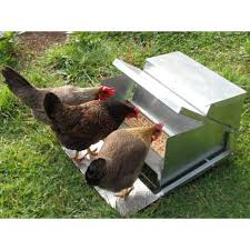 Amazon.Com : Zhehao Automatic Galvanized Chicken Feeder 25Lb Self Opening  Sheet Poultry Feeders Metal Treadle Feeders With Weatherproof Lid For  Outdoor Fowl Duck, Feeds 6-12 Poultry Up To 7 Days, 20 X