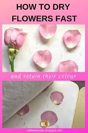 One thing i didn't mention is that with greenery i suggest. Drying And Preserving Flowers For Resin How To Preserve Flowers Dried Flowers Diy Pressed Flower Crafts