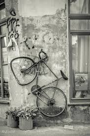 City Leipzig Climbing Vine Ready Leipzig Stadt Land Stadt