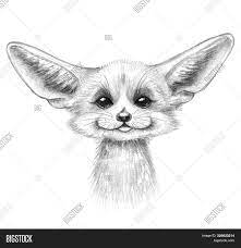Learn how to draw a cute fennec fox named phoenix from ty beanie boos easy, step by step drawing lesson tutorial. Hand Drawn Monochrome Image Photo Free Trial Bigstock