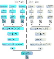 In this article skip to section what is an assessment centre? Fkl Spa Laprls An Accurate Method For Identifying Human Microrna Disease Association Bmc Genomics Full Text