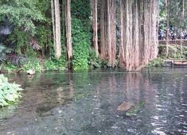 Galeri foto wana wisata kampoeng ciherang sumedang tempat wisata populer sumedang wahana permainan air di sumedang demikian tadi informasi mengenai wana wisata kampoeng ciherang beserta harga tiket. 45 Obyek Wisata Baru Yang Ada Di Sumedang Jawa Barat Yang Populer Ihategreenjello