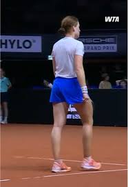 Image result for Seidelia