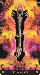 The ace of wands is a tarot card of the minor arcana, arcana being latin for mysteries. The Tarot Of Eli Small Cards The Starman Ace Of Wands The Thoth Ace Of Wands